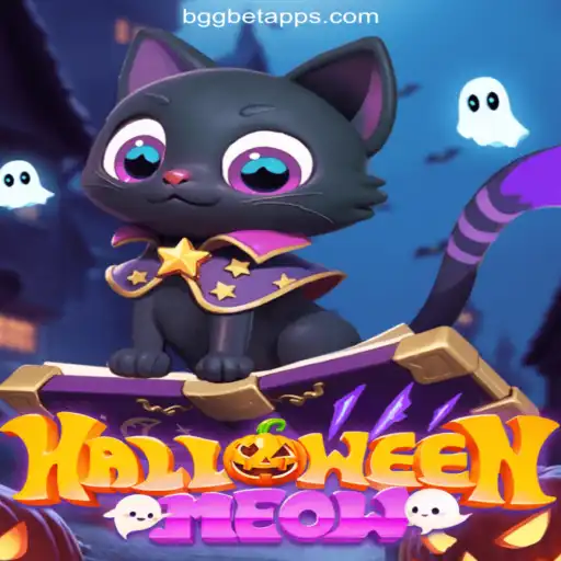Explore the Spooktacular World of 'HalloweenMeow' on BGGBET.com Platform